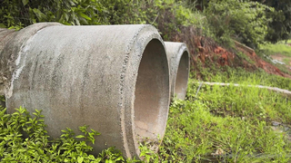 Sweetie Fox Aka Moonfleur New Fallout B/g Fucking Video