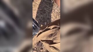 Indian College Student Fucks Boyfriend In Public Park Exclusive