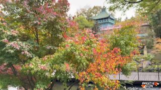 Sweetie Fox When A Fairy Tale Becomes Reality Leaked Porn Video